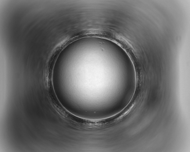 X0000096641403200802051118