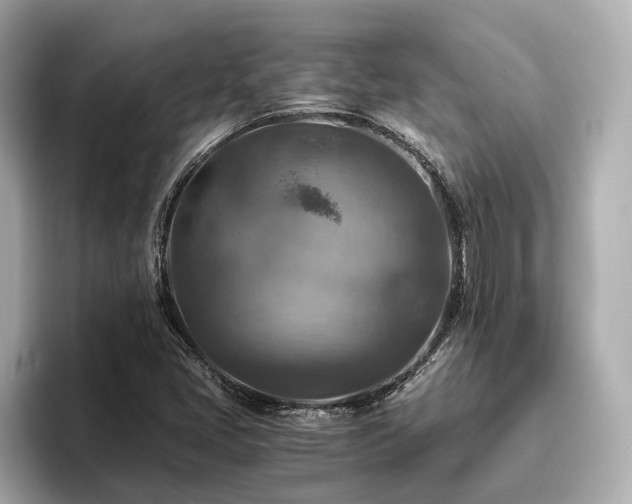 X0000096641405200802051118