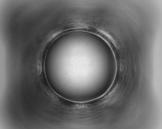 X0000096641407200802051118