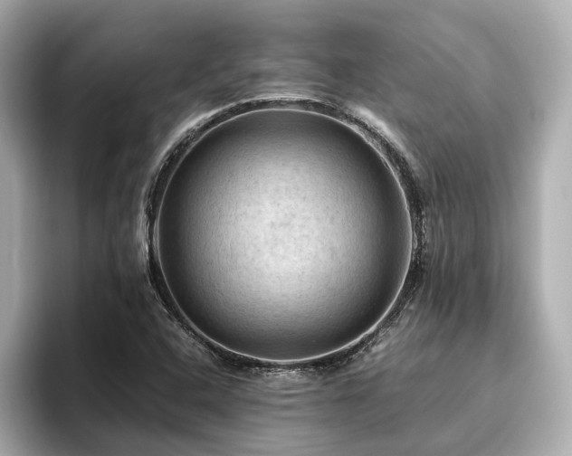 X0000096641408200802051118