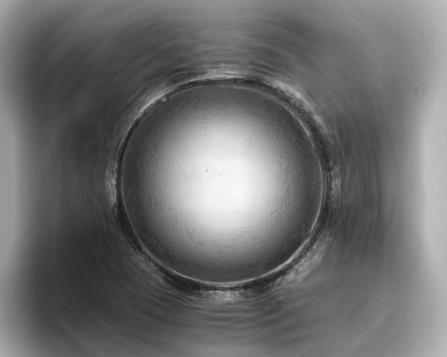 X0000096641409200802051118