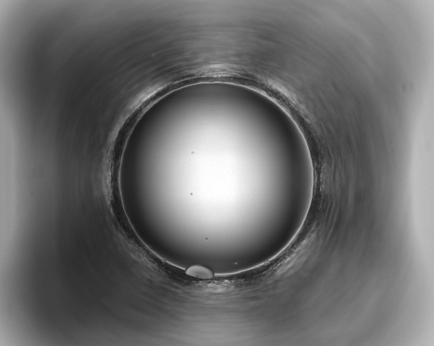 X0000096641410200802051118