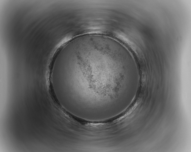 X0000096641411200802051118