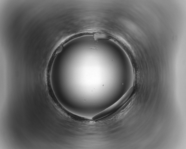 X0000096641412200802051118