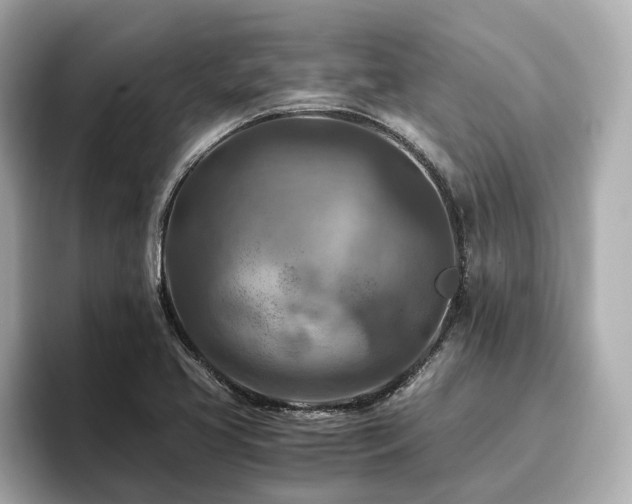 X0000096641413200802051118