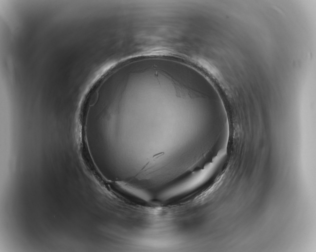 X0000096641414200802051118