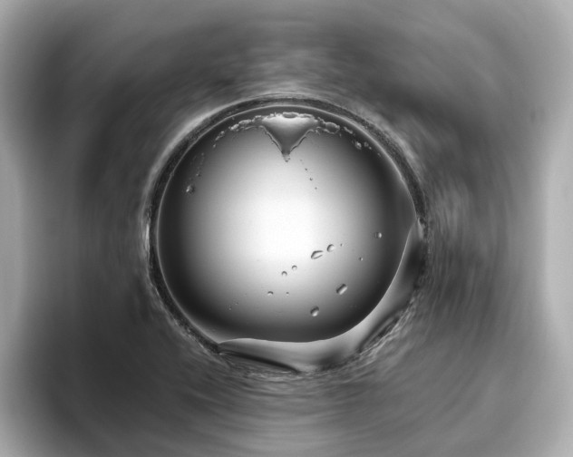 X0000096641416200802051118