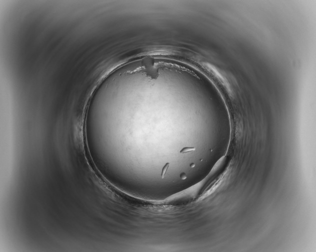 X0000096641417200802051118