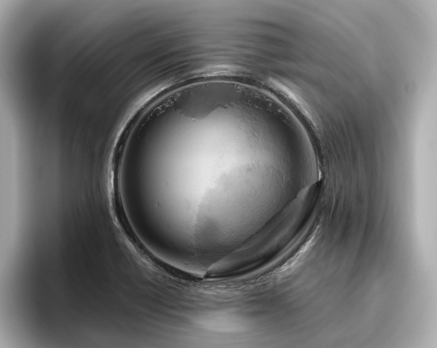 X0000096641418200802051118