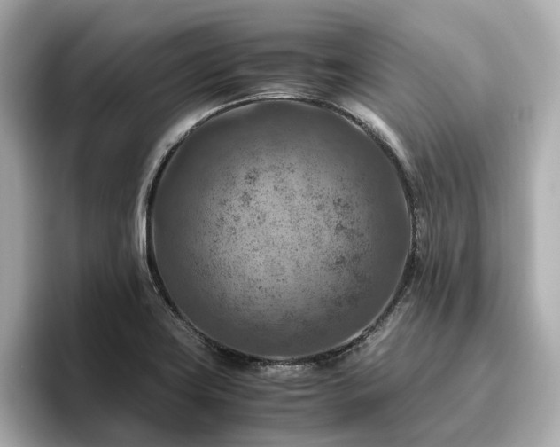 X0000096641419200802051118