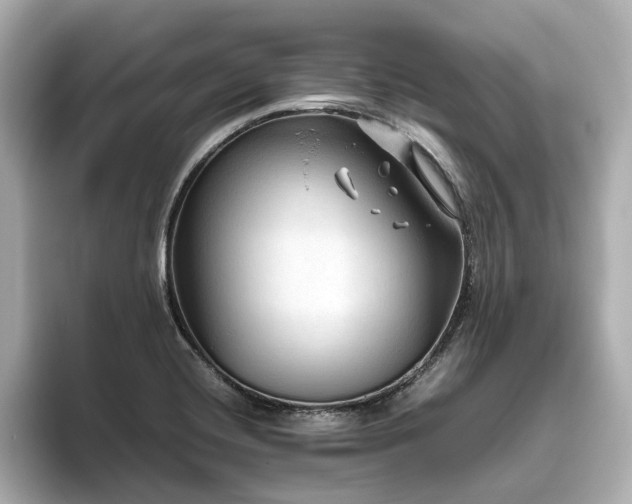 X0000096641420200802051118