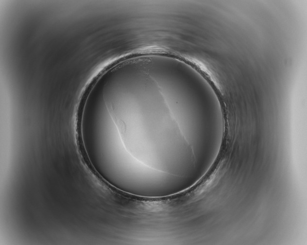 X0000096641422200802051118