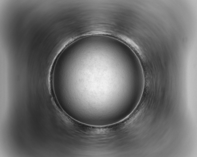 X0000096641423200802051118