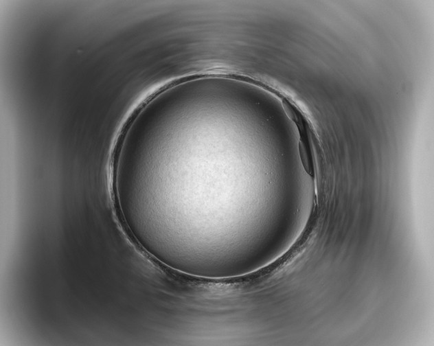 X0000096641424200802051118