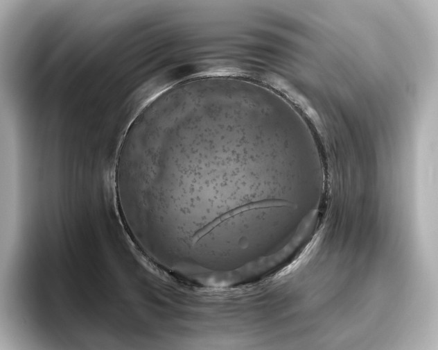 X0000096641425200802051118