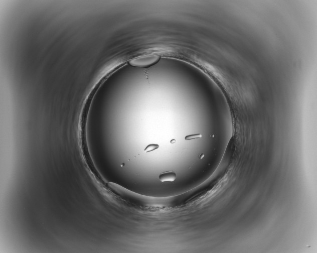 X0000096641426200802051118