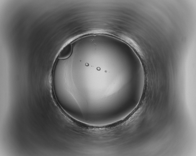 X0000096641428200802051118