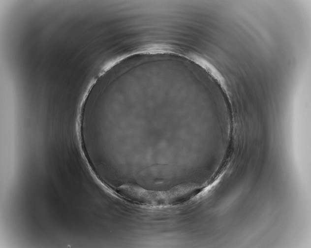 X0000096641429200802051118