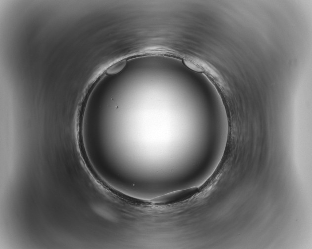 X0000096641430200802051118