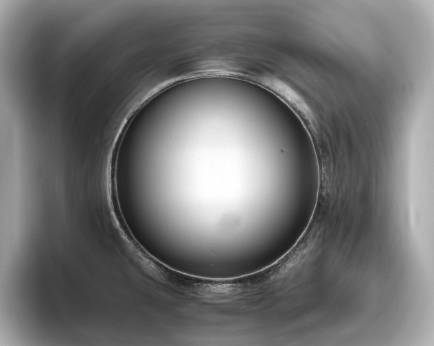 X0000096641431200802051118