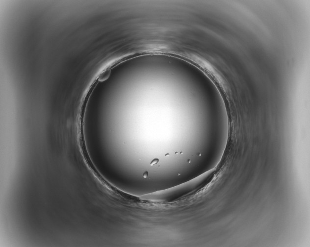 X0000096641432200802051118