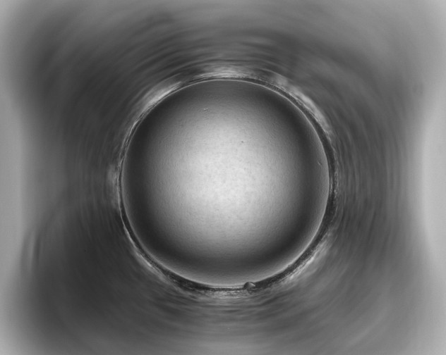 X0000096641433200802051118