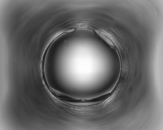 X0000096641434200802051119