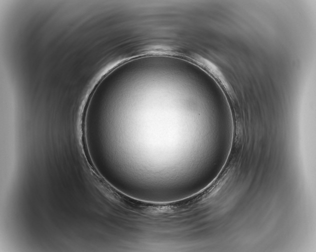 X0000096641435200802051119