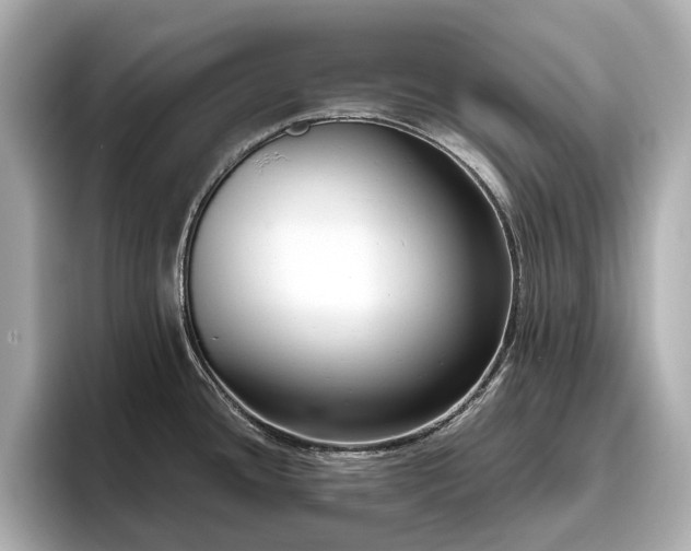 X0000096641436200802051119