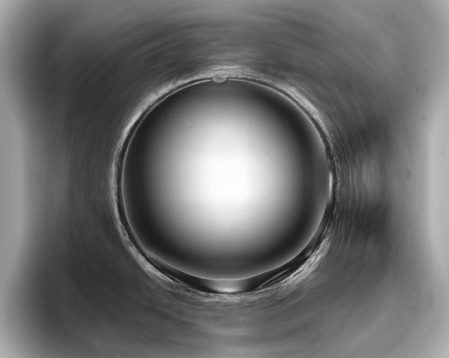 X0000096641438200802051119