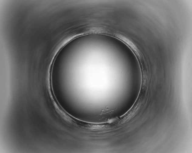 X0000096641439200802051119