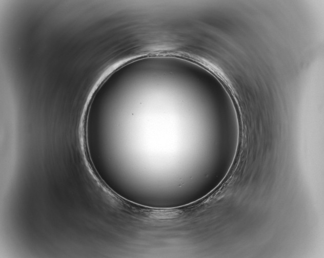 X0000096641440200802051119