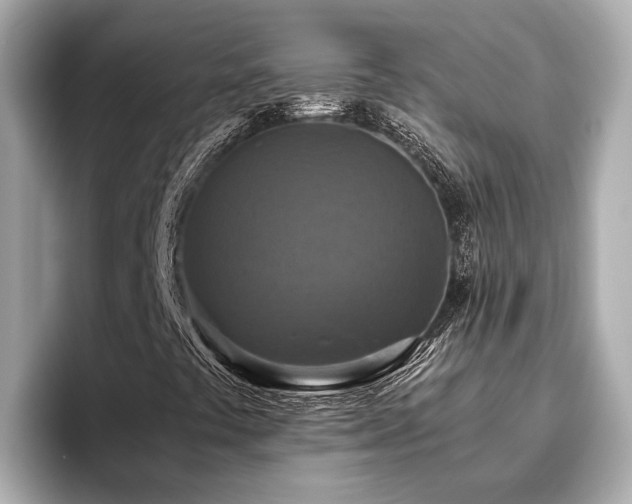 X0000096641441200802051118