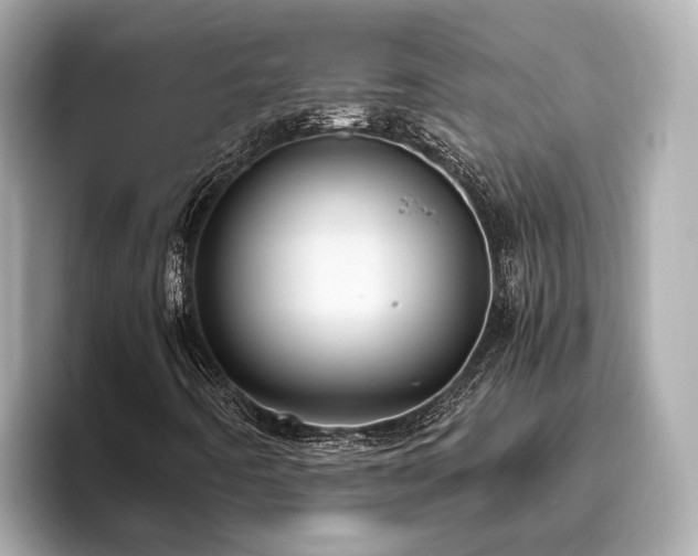 X0000096641442200802051118