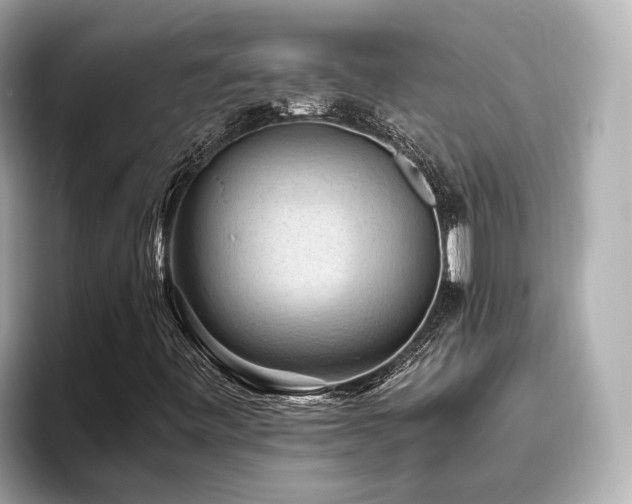 X0000096641443200802051118