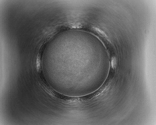 X0000096641444200802051118