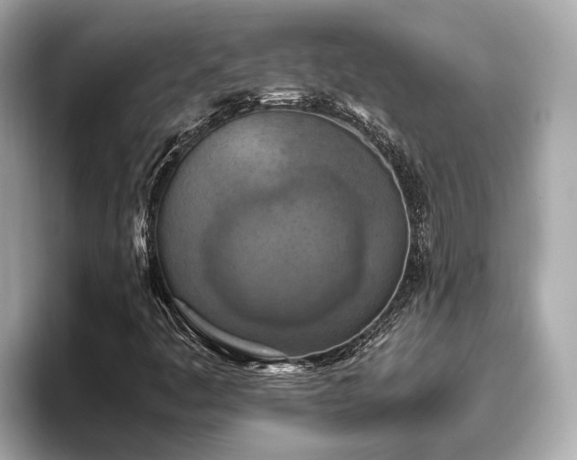 X0000096641445200802051118