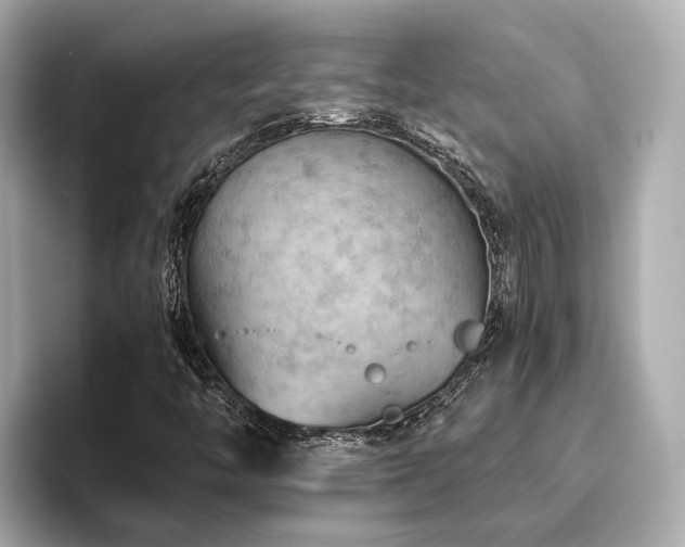 X0000096641446200802051118