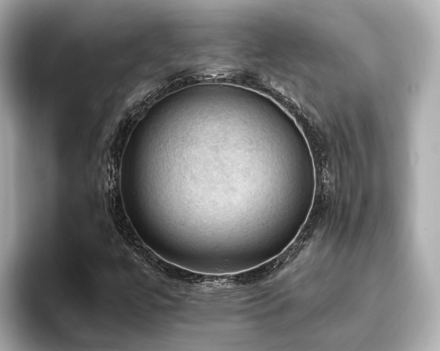 X0000096641447200802051118