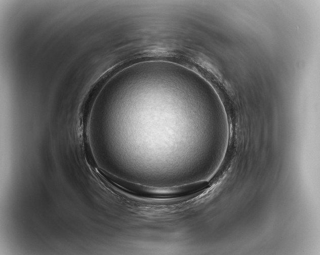 X0000096641450200802051118