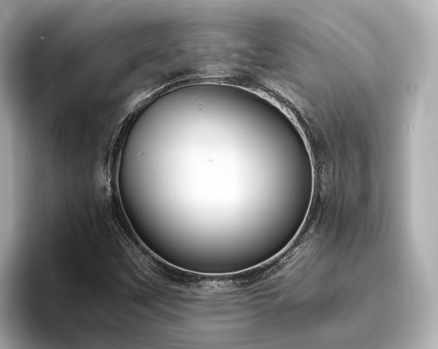X0000096641451200802051118