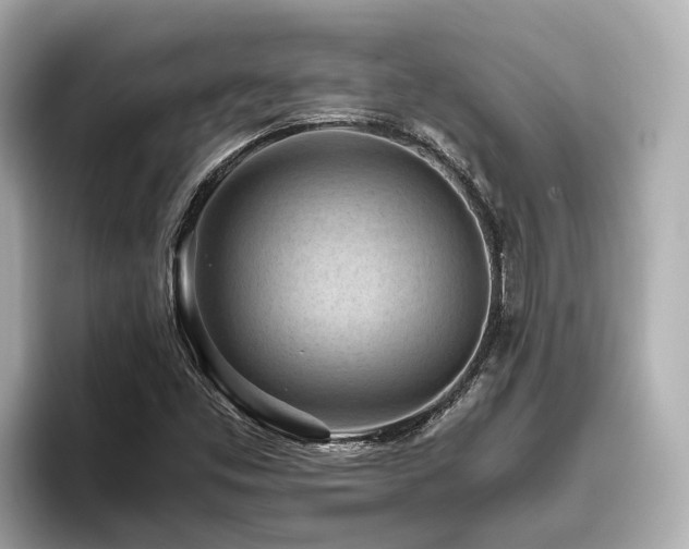 X0000096641453200802051118