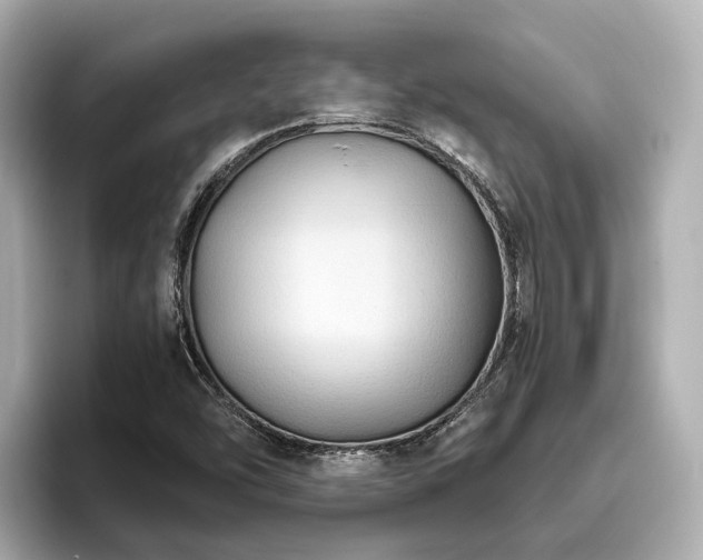 X0000096641454200802051118