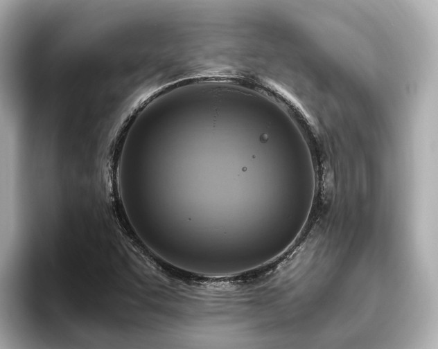 X0000096641455200802051118