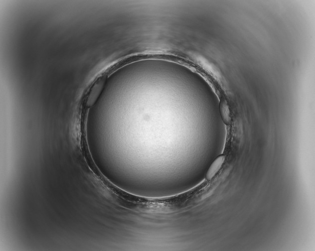X0000096641456200802051118