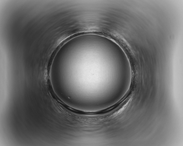 X0000096641457200802051118