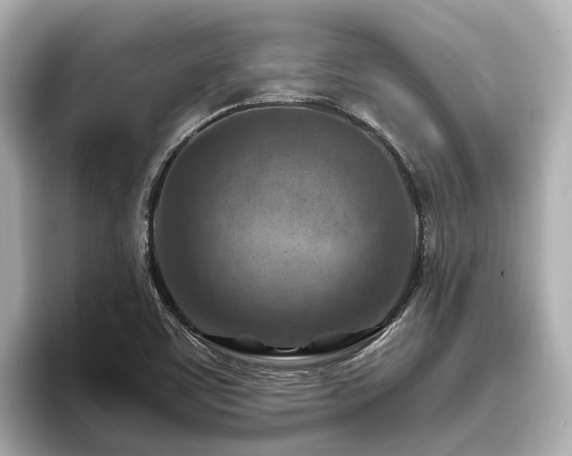 X0000096641459200802051118