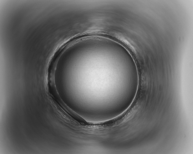 X0000096641461200802051118