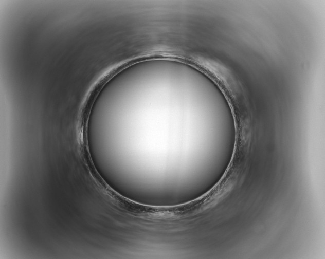 X0000096641462200802051118