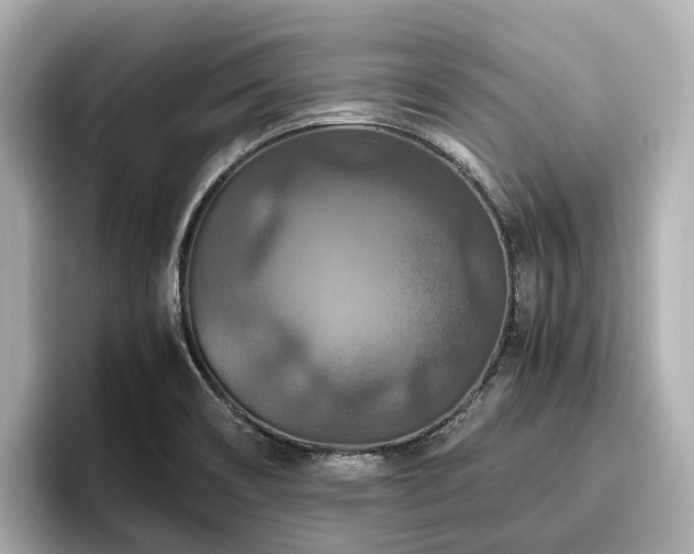 X0000096641466200802051118